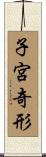 子宮奇形 Scroll