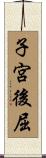 子宮後屈 Scroll