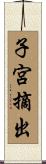 子宮摘出 Scroll