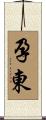 孕東 Scroll