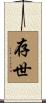 存世 Scroll