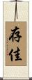 存佳 Scroll