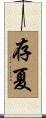 存夏 Scroll