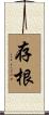 存根 Scroll