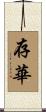 存華 Scroll