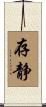 存静 Scroll