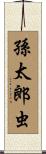 孫太郎虫 Scroll