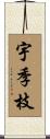 宇季枝 Scroll