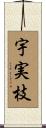 宇実枝 Scroll