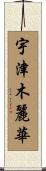 宇津木麗華 Scroll