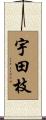 宇田枝 Scroll