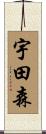 宇田森 Scroll
