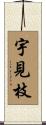 宇見枝 Scroll