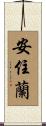 安住蘭 Scroll