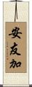 安友加 Scroll