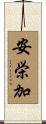 安栄加 Scroll