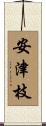 安津枝 Scroll