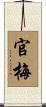 官梅 Scroll