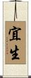 宜生 Scroll