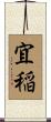 宜稲 Scroll