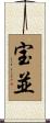 宝並 Scroll