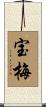 宝梅 Scroll
