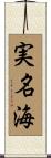 実名海 Scroll