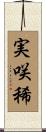 実咲稀 Scroll