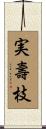 実壽枝 Scroll