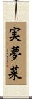 実夢菜 Scroll