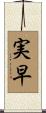実早 Scroll