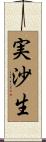 実沙生 Scroll