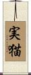 実猫 Scroll