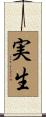 実生 Scroll