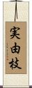 実由枝 Scroll