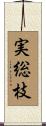 実総枝 Scroll