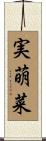 実萌菜 Scroll