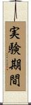 実験期間 Scroll