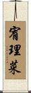 宥理菜 Scroll