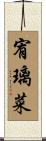 宥璃菜 Scroll