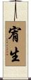 宥生 Scroll