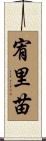 宥里苗 Scroll