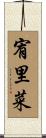 宥里菜 Scroll