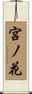 宮ノ花 Scroll