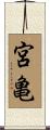 宮亀 Scroll