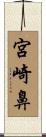 宮崎鼻 Scroll