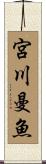 宮川曼魚 Scroll