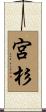宮杉 Scroll