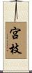 宮枝 Scroll
