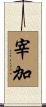 宰加 Scroll